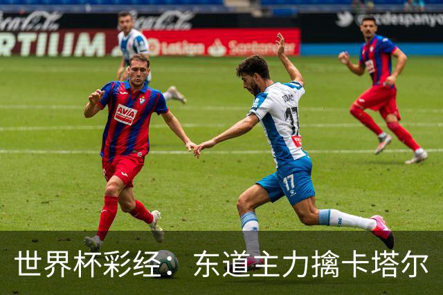 世界杯彩经：东道主力擒卡塔尔