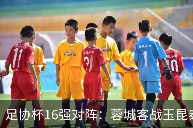 足协杯16强对阵：蓉城客战玉昆泰山战三镇 国安遭遇中乙队